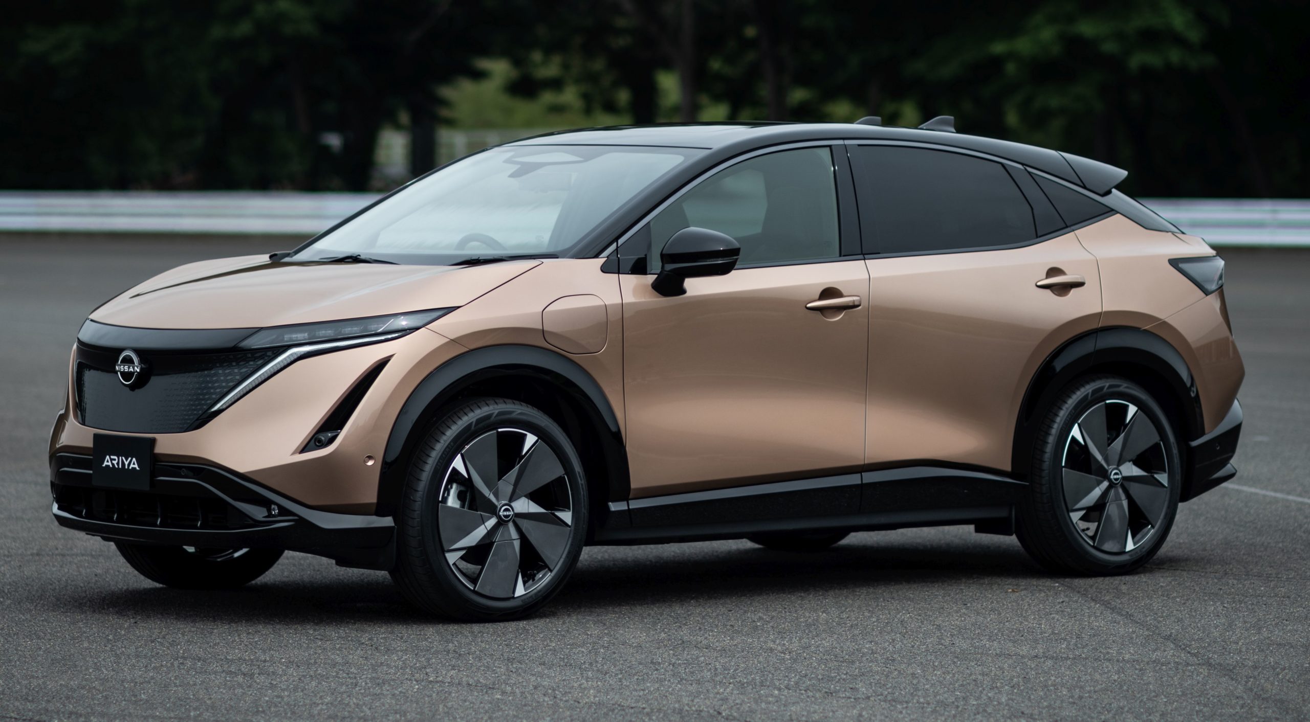 Κουκούλα αυτοκινήτου συμβατή με Nissan Ariya (FE0E) (ab 09/22) ( - ) αδιάβροχη και με επένδυση 4595x1850x1650